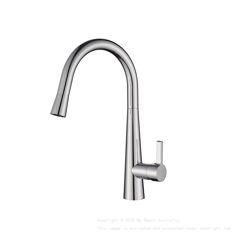 Designer Gooseneck Pull Out Kitchen Mixer Chrome