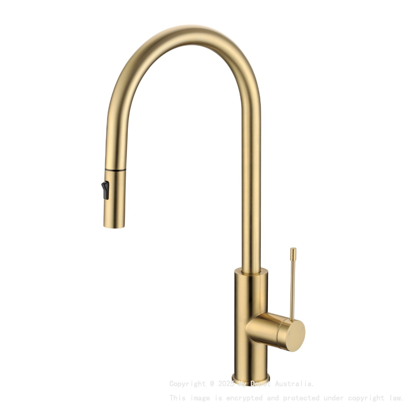 Aziz-II Pull Out Sink Mixer Brushed Gold