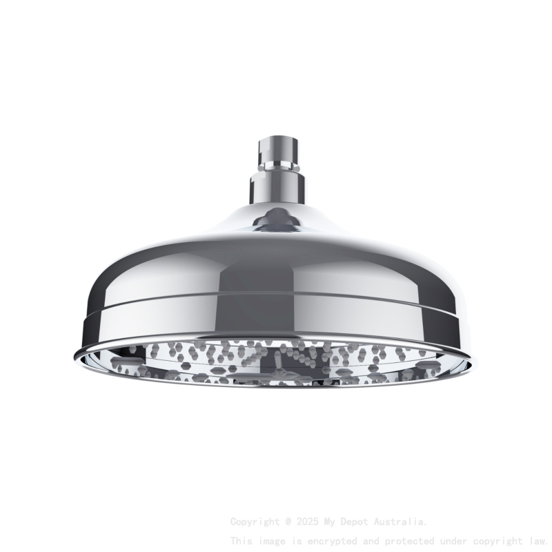 Clasico Shower Head Chrome