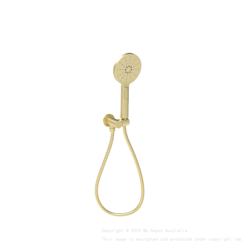 Cora Round Hand Shower On Wall Outlet Bracket Brushed Gold