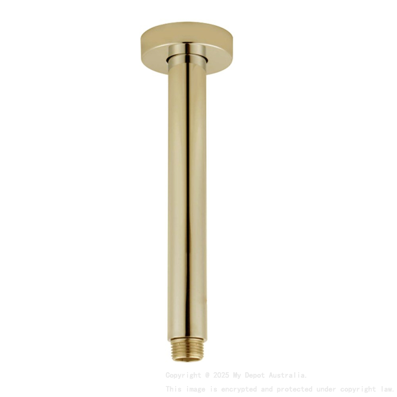 Pentro Brushed Yellow Gold Round Ceiling Shower arm 200mm
