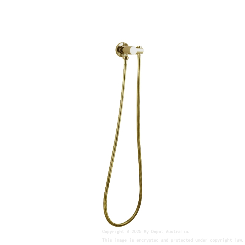 Pentro Brushed Yellow Gold Shower Holder & Connector