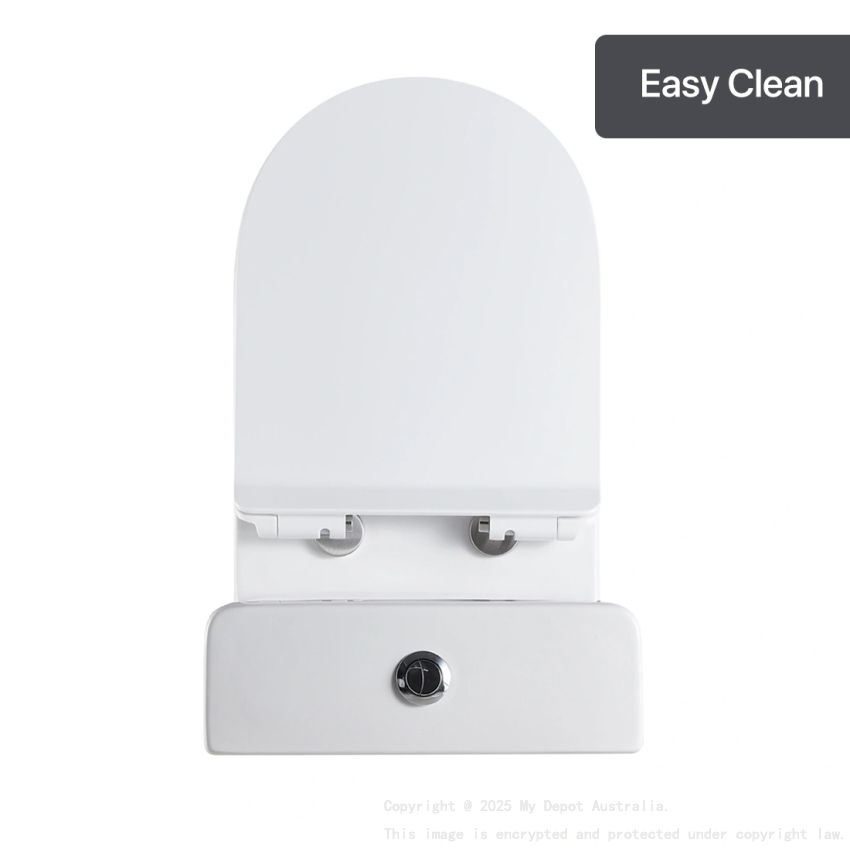 Two-Piece Rimless Flushing Toilet Suite Wall Faced Floor Mounted Toilet