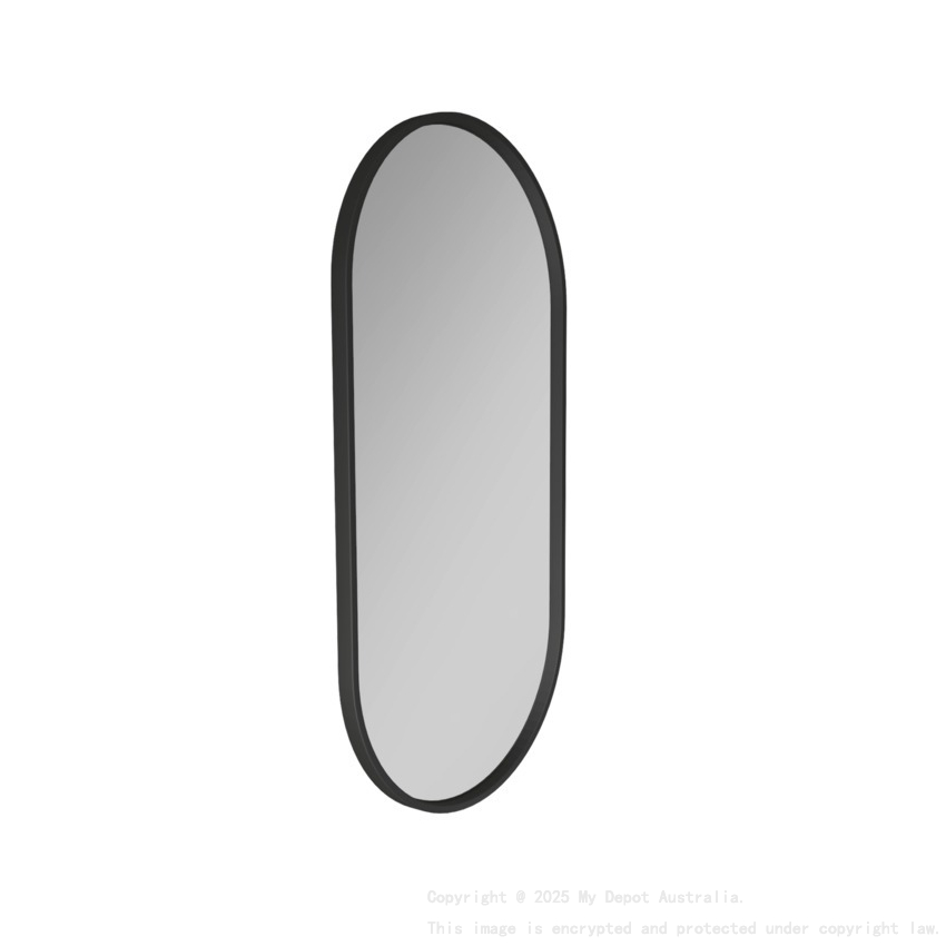 450*900mm Black Framed Oval Mirror Metal Framed Mirror