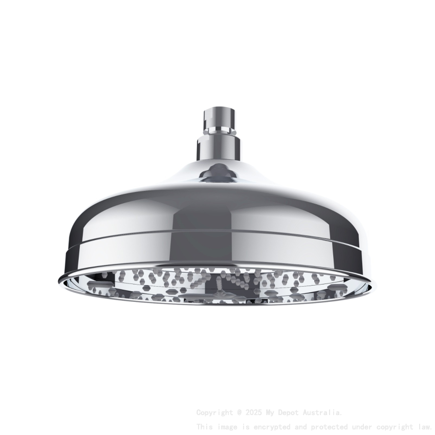 Clasico Shower Head Chrome