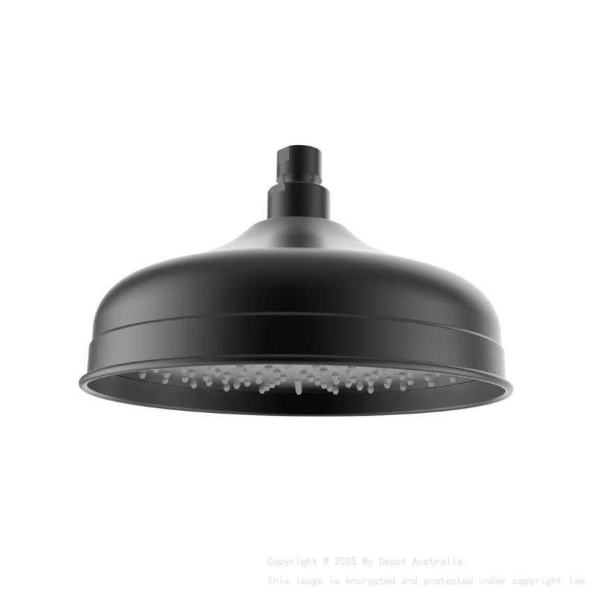 Clasico Shower Head in Matt Black