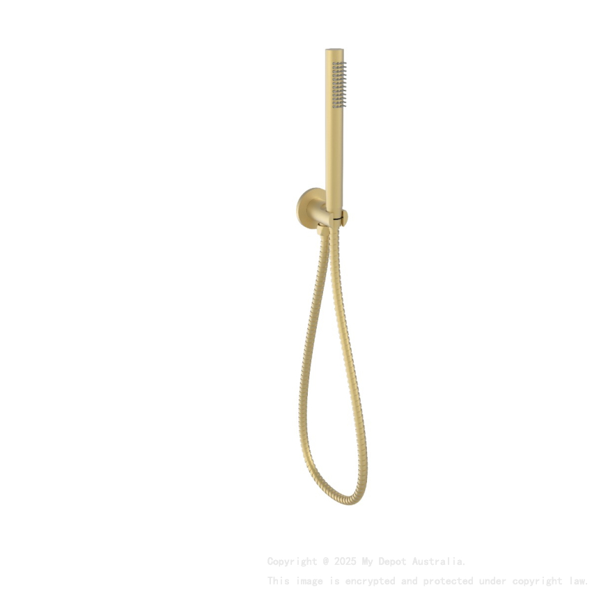 Tube Hand Shower On Wall Outlet Bracket Brushed Gold