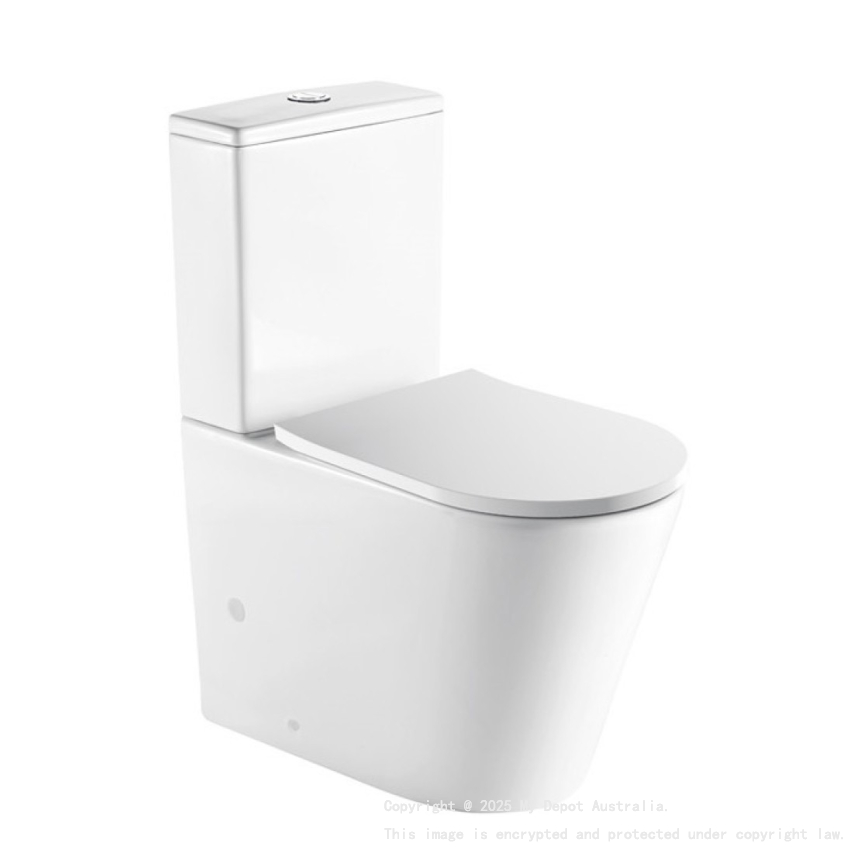 Hali Rimless Wall Faced Toilet