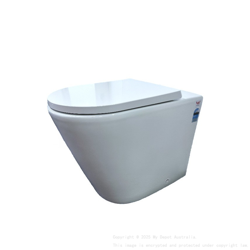 Hali Rimless Wall Faced Floor Pan