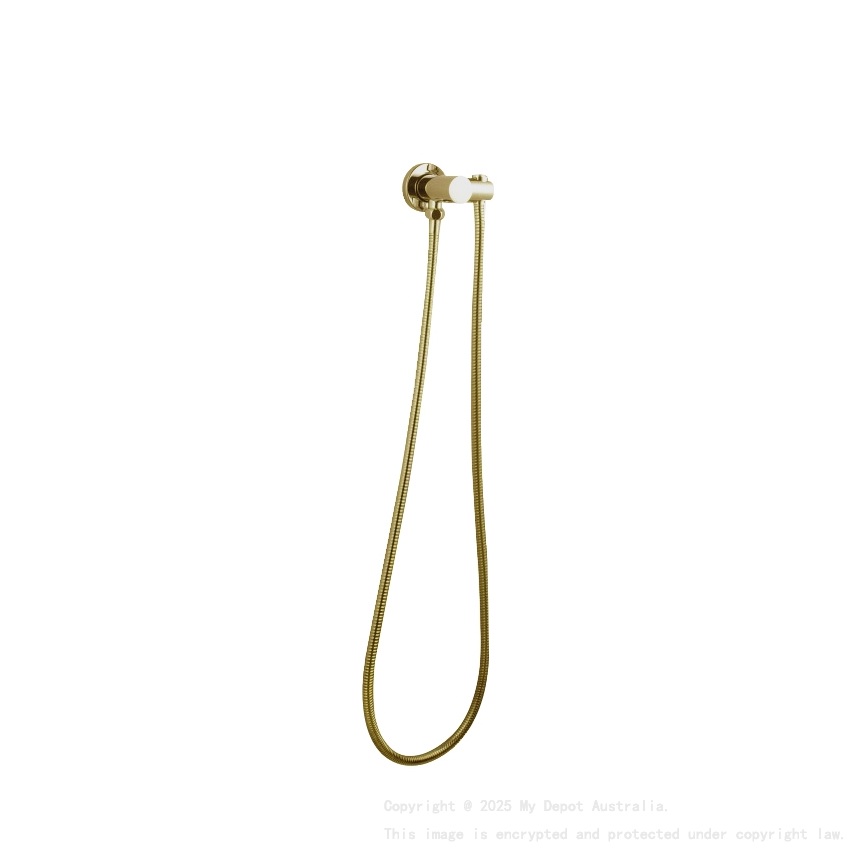Pentro Brushed Yellow Gold Shower Holder & Connector