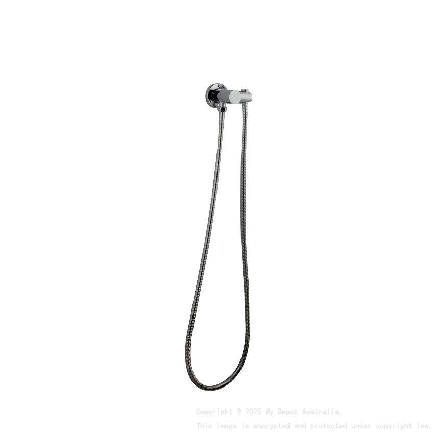 Pentro Brushed Nickel Shower Holder & Connector