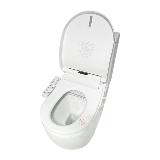 Two Piece Toilet Suite With Smart Wash & Dry Bidet Toilet Seat