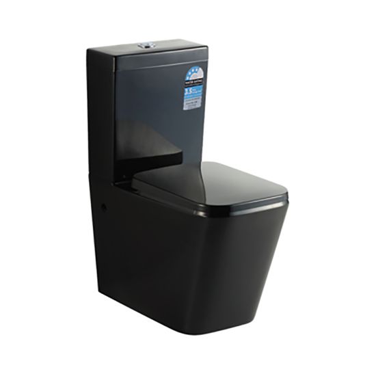 665*380*840mm Qubist Black Back To Wall Floor Toilet Suite Box Rim Pan Dual Flush