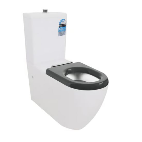 810*355*880mm Disable Rimless Toilet Suite Rimless Flush Pan 4.5/3 Liters Dual Flush