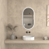 450×900mm Matte Black Framed Oval 3 Color Backlit LED Mirror(Touchless Sensor Switch)