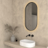 450×900mm Matte Black Framed Oval 3 Color Backlit LED Mirror(Touchless Sensor Switch)