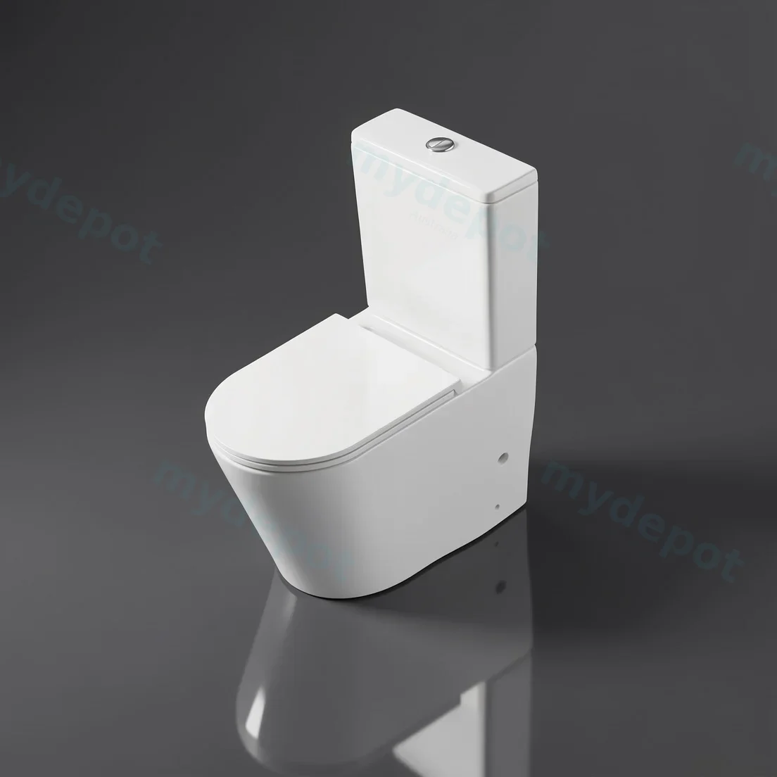 665*370*845mm Pani Back To Wall Toilet Suite (Rimless) With Slim UF Seat Cover And  Universal Inlet Cistern T3 view 5