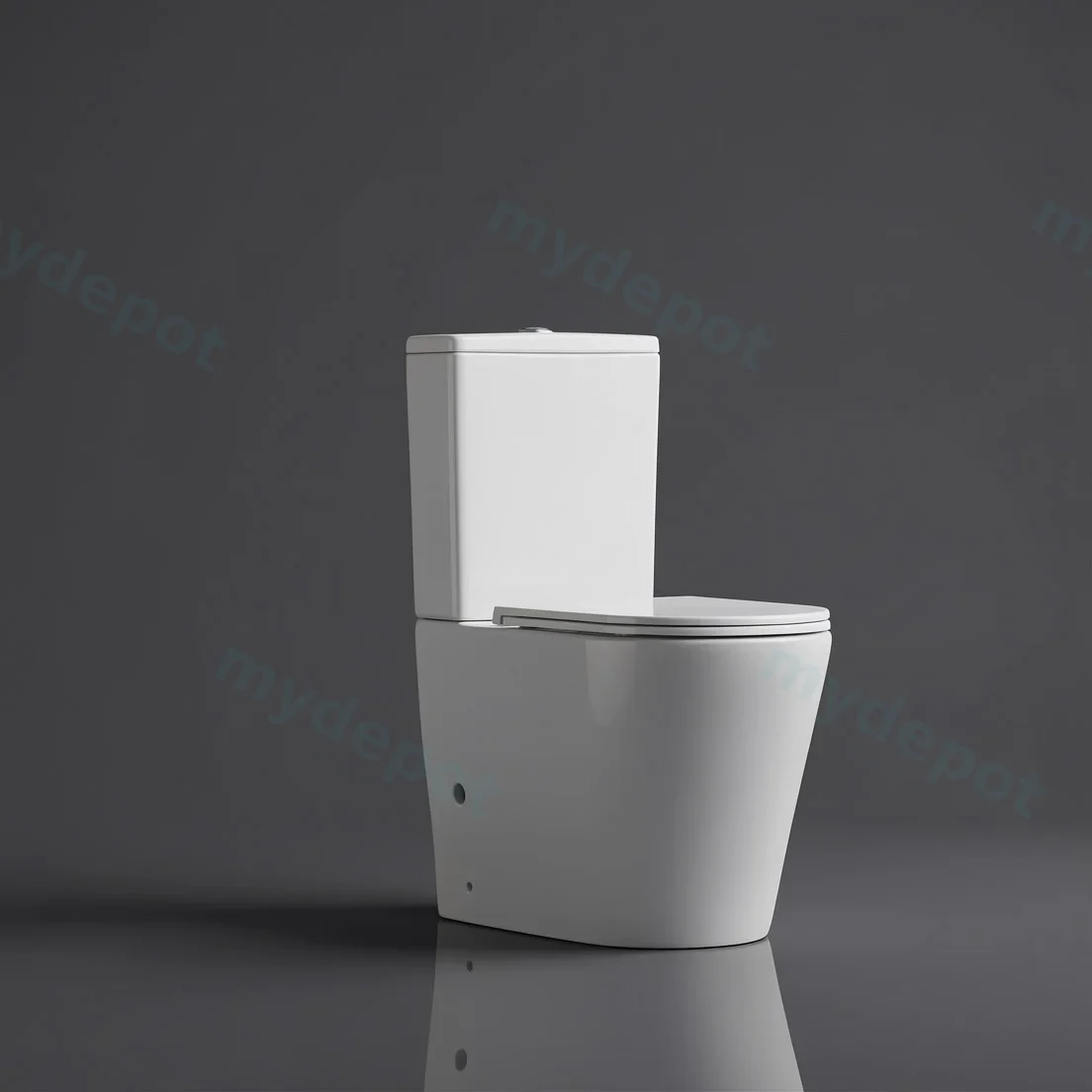 665*370*845mm Pani Back To Wall Toilet Suite (Rimless) With Slim UF Seat Cover And  Universal Inlet Cistern T3 view 6