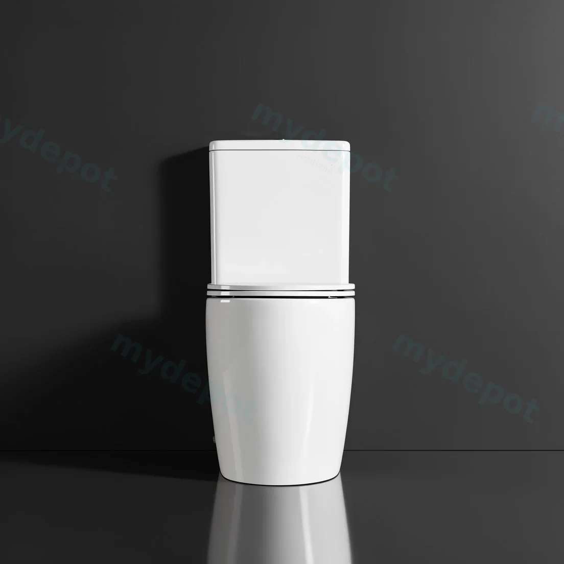 Walton Back To Wall Toilet Suite Two Piece Toilet view 8