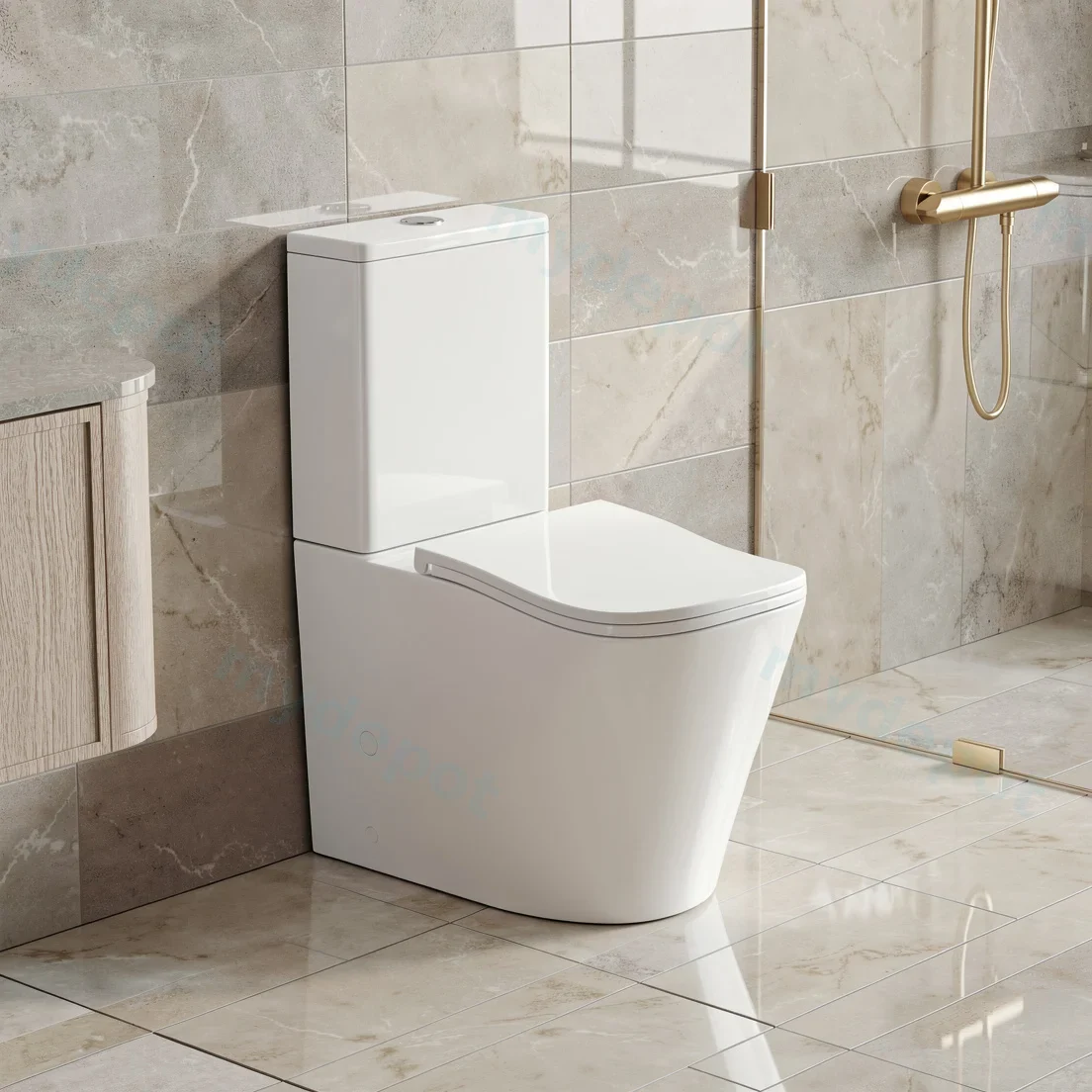 FIFA Gloss White Back To Wall Toilet Suite view 5