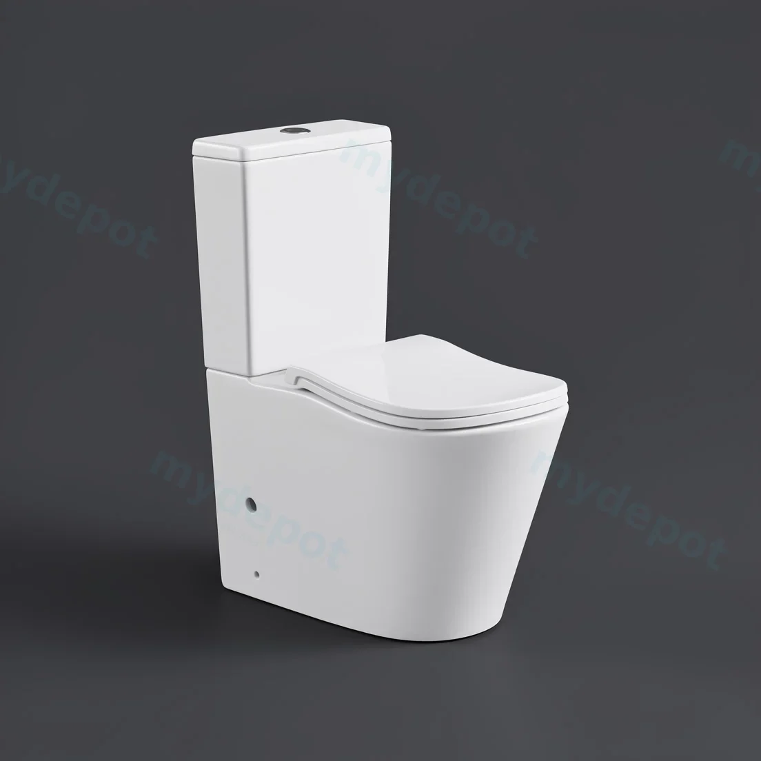 FIFA Gloss White Back To Wall Toilet Suite view 6
