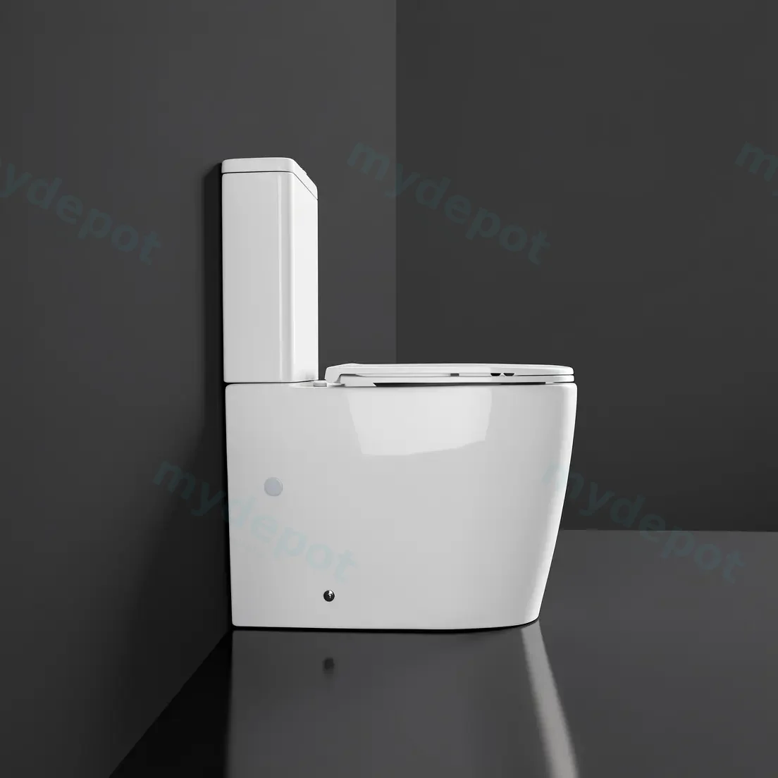 Walton Back To Wall Toilet Suite Two Piece Toilet view 4