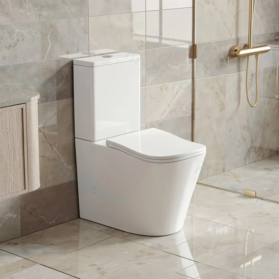 FIFA Gloss White Back To Wall Toilet Suite view 2