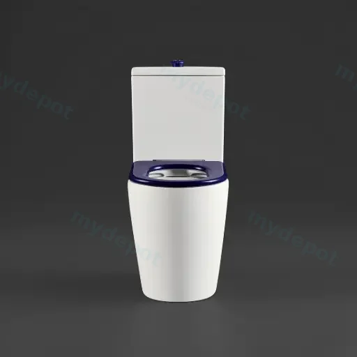 650×380×800mm Hadden Wall Faced Toilet Suite Rimless Flush