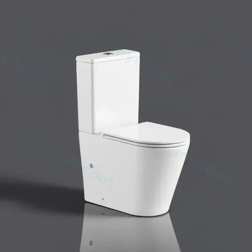 Berlin Back To Wall Toilet Suite Quiet Flushing Technology