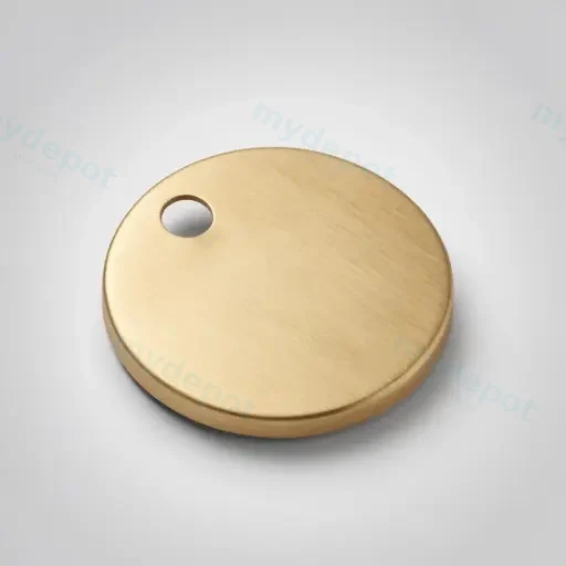 Brushed Gold Hinge Cover In Pair