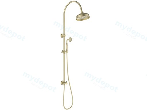 Clasico Combination Shower Set In Brushed Gold
