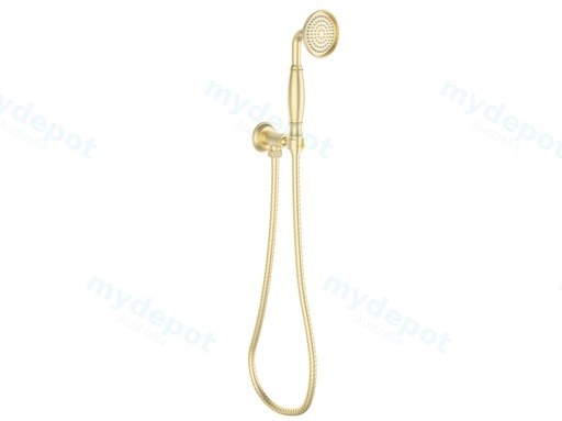 Clasico Handshower On Wall Outlet Bracket in Brushed Gold