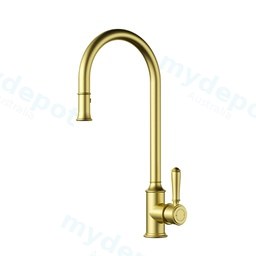Clasico Pull-Out Sink Mixer Brushed Gold