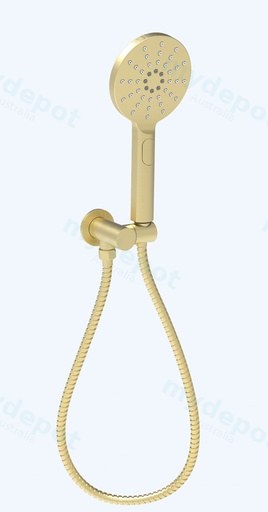Cora Round Hand Shower On Wall Outlet Bracket Brushed Gold