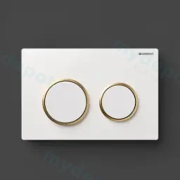 Kappa 21 Dual Flush/Access Plate (ABS) Bright White Plate And Buttons With Bright Gold Rings