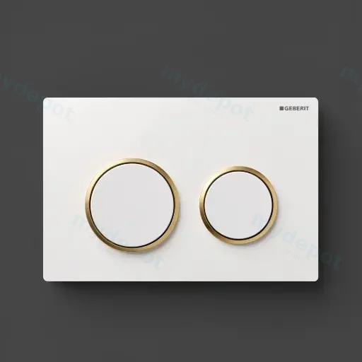 Kappa 21 Dual Flush/Access Plate (ABS) Bright White Plate And Buttons With Bright Gold Rings