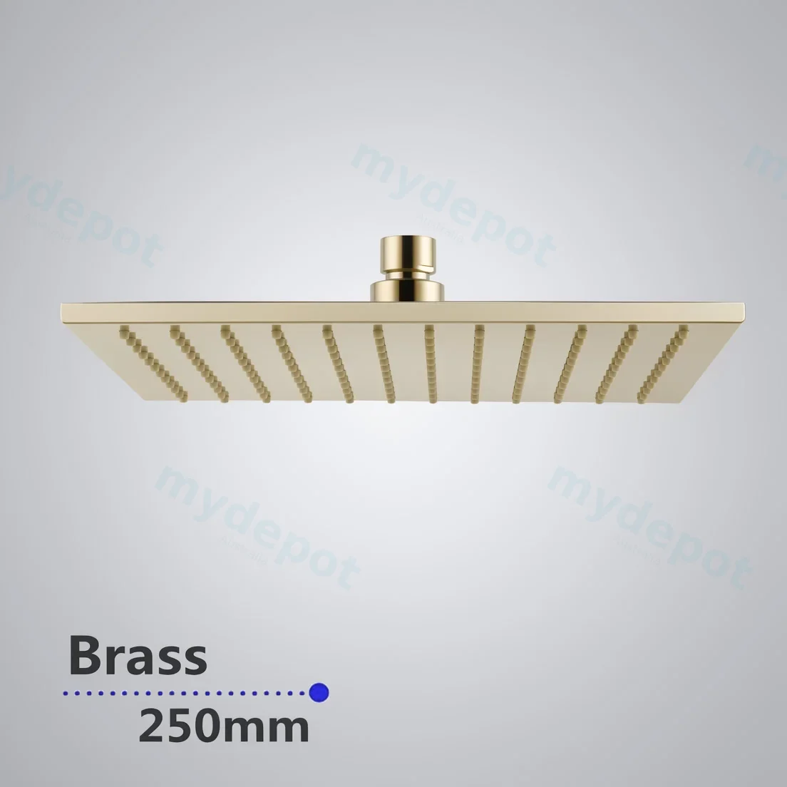 Square Brushed Brass Shower Head 250mm