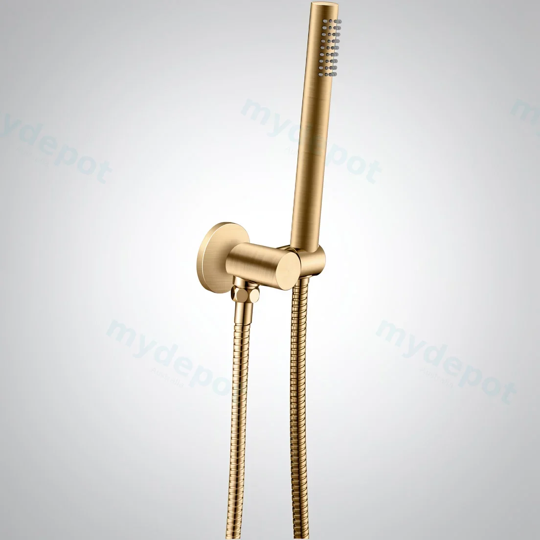 Round Brushed Brass Shower Rail With Handheld Shower(Stainless Steel Hose)
