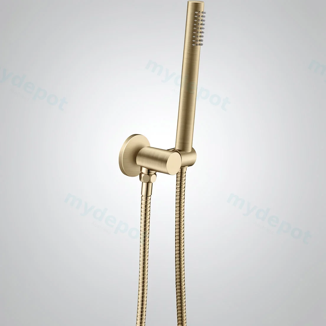 Round Light Brushed Brass Shower Rail With Handheld Shower(Stainless Steel Hose)
