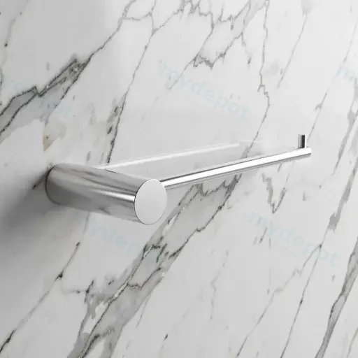 Chrome Toilet Paper Holder