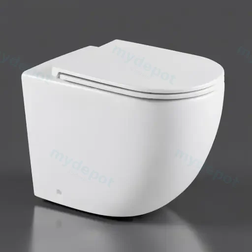 Norton99 Floor Mount Conceal System Toilet Floor Mount Conceal System Toilet
