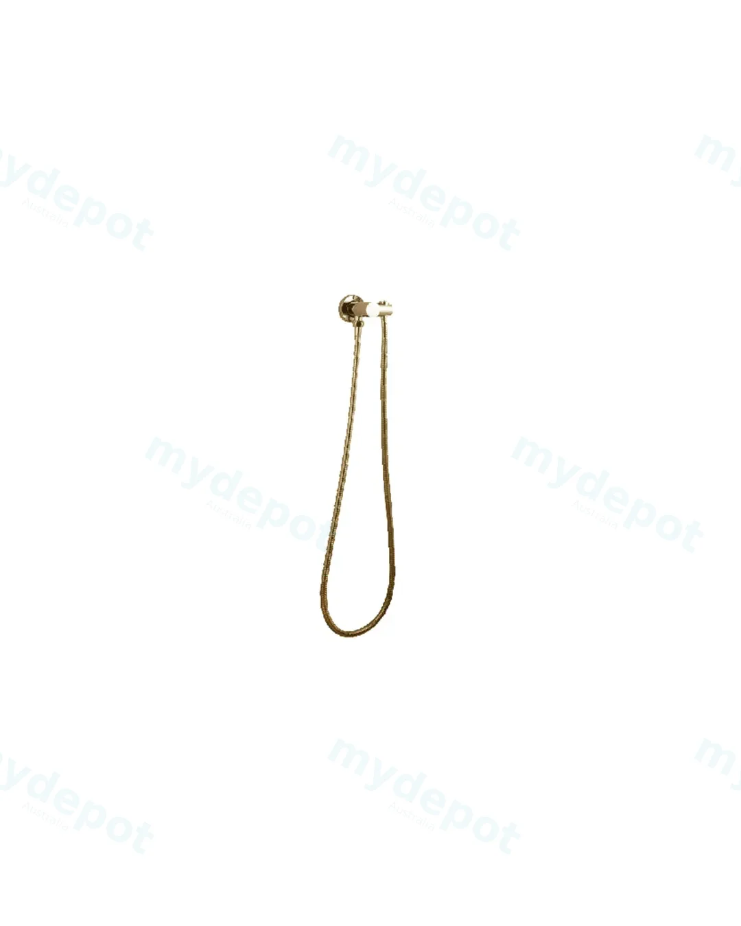 Pentro Brushed Yellow Gold Shower Holder & Connector