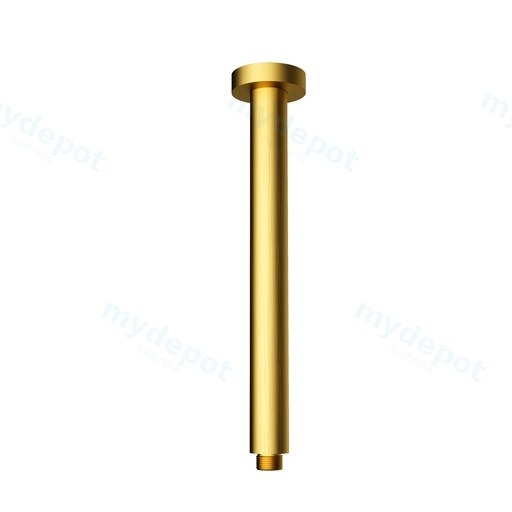 Round Vertical Shower Arm(Brushed Gold)