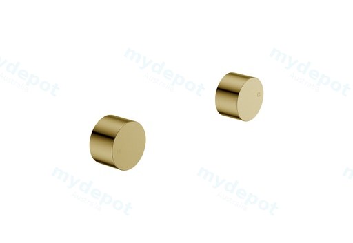 Tana 1/4 turn C/D Wall Top Assembly Brushed Gold