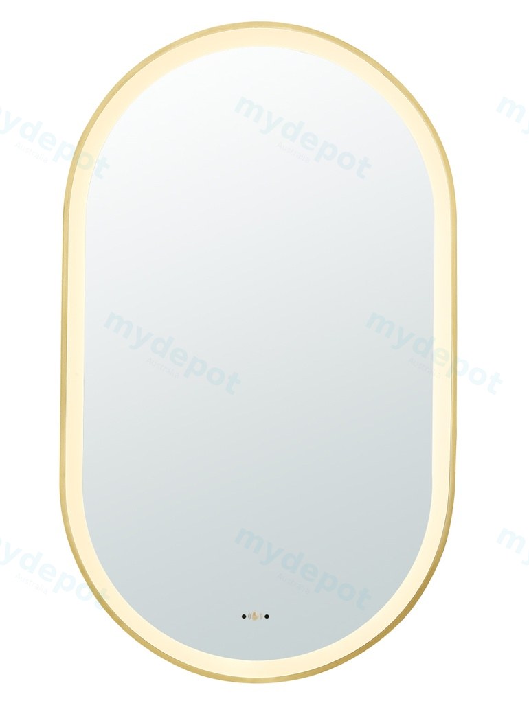 450(W)*900mm(H) Brushed Gold Ellips Framed LED Mirror