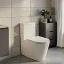 660×390×835mm Binli Agena Toilet Suite