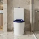 800*865*390mm Pani Care Accessible Back To Wall Toilet
