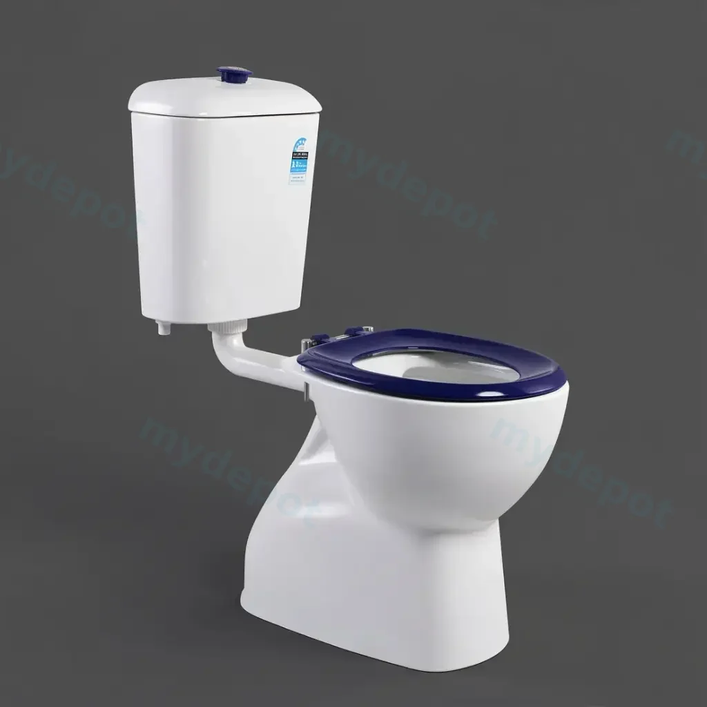 Carrida Care Toilet Cistern With Blue Button