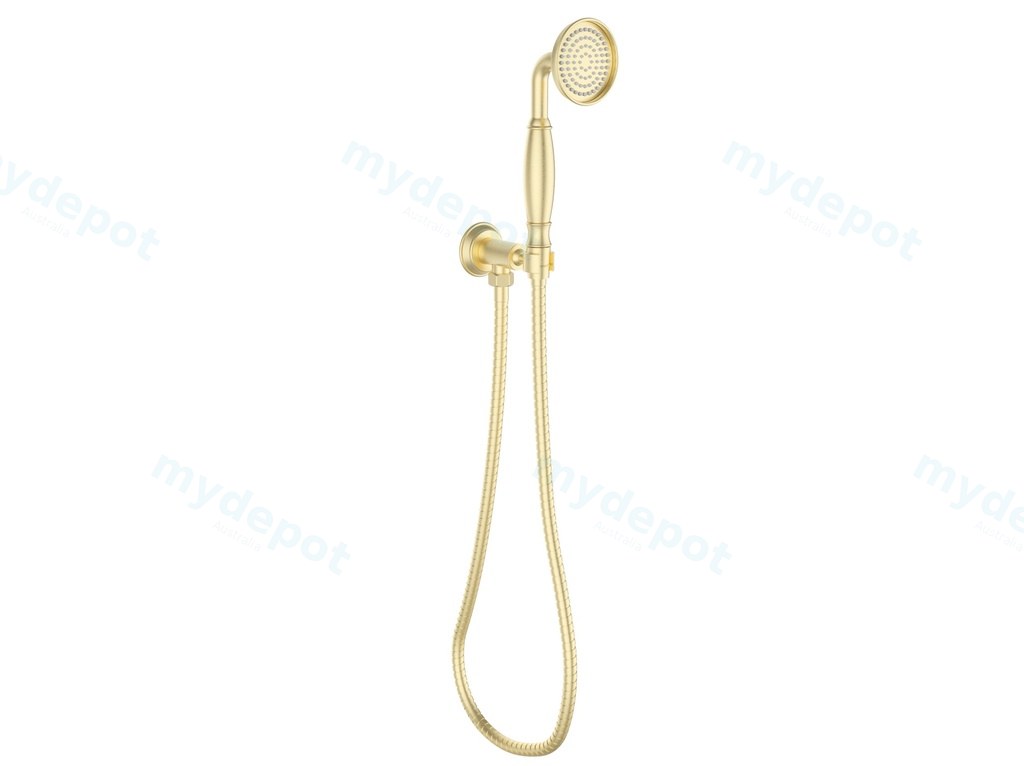Clasico Handshower On Wall Outlet Bracket in Brushed Gold