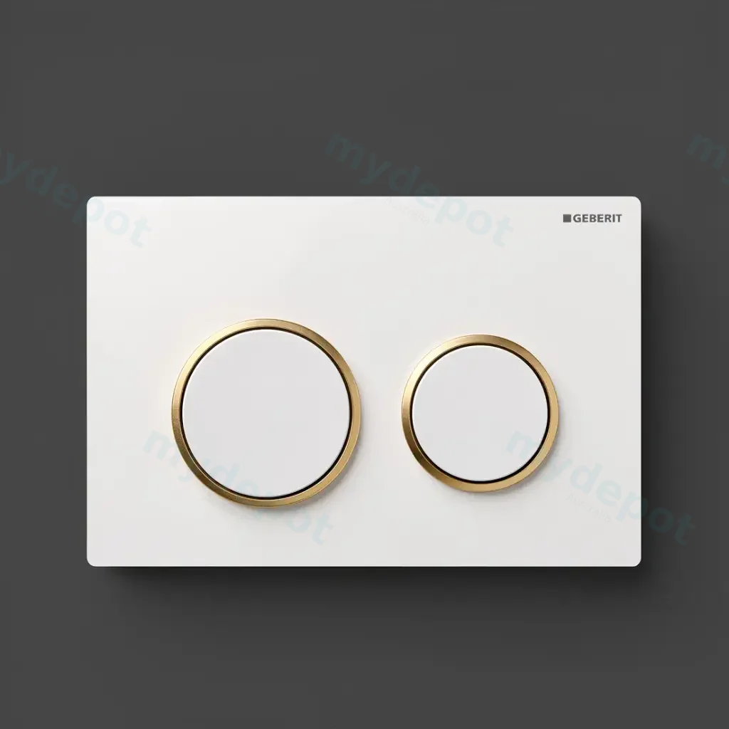 Kappa 21 Dual Flush/Access Plate (ABS) Bright White Plate And Buttons With Bright Gold Rings